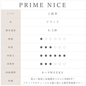 ニーチェグルー（PRIME NICE）